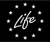 Life-logo