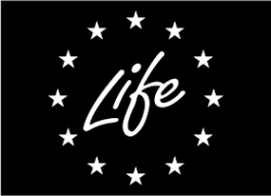 Life-logo